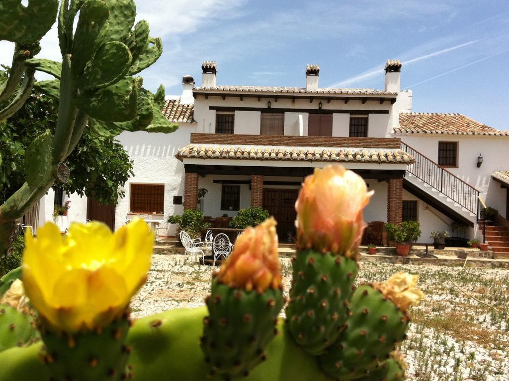 Belvilla By Oyo Cortijo Las Monjas Periana Εξωτερικό φωτογραφία